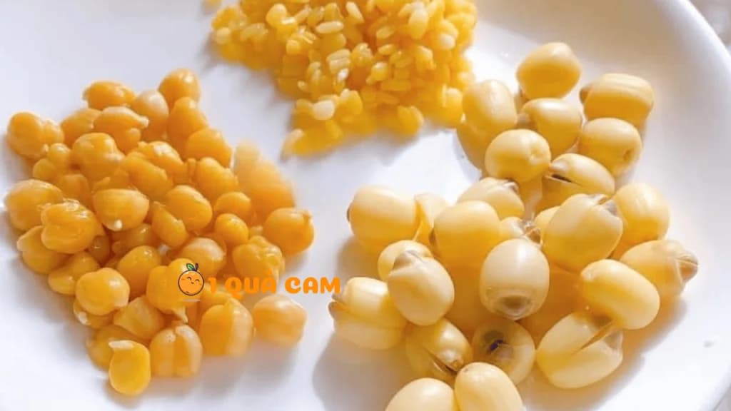 Ba loại hạt ngô vàng và trắng để riêng thành từng phần trên đĩa sứ trắng