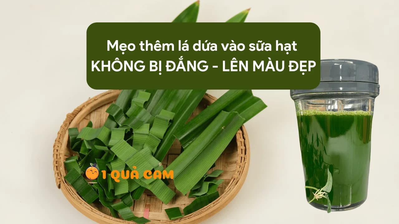 Mẹo nhỏ để mix lá dứa vào sữa hạt mà không bị đắng