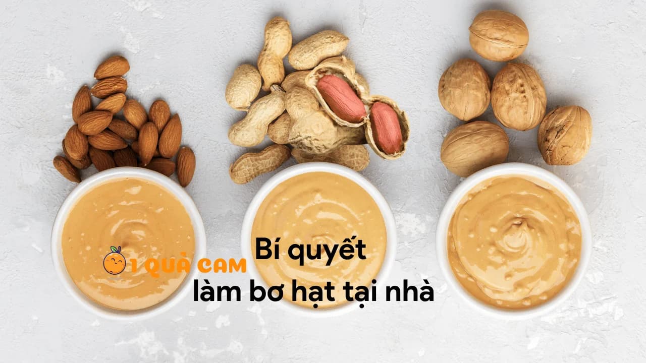 Hướng dẫn đầy đủ cách làm bơ hạt tại nhà và các loại bơ hạt