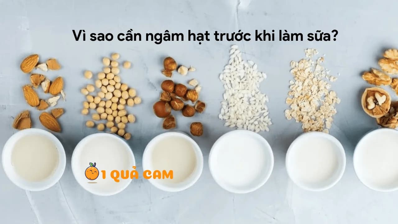 Vì sao mình luôn ngâm hạt trước khi làm sữa?