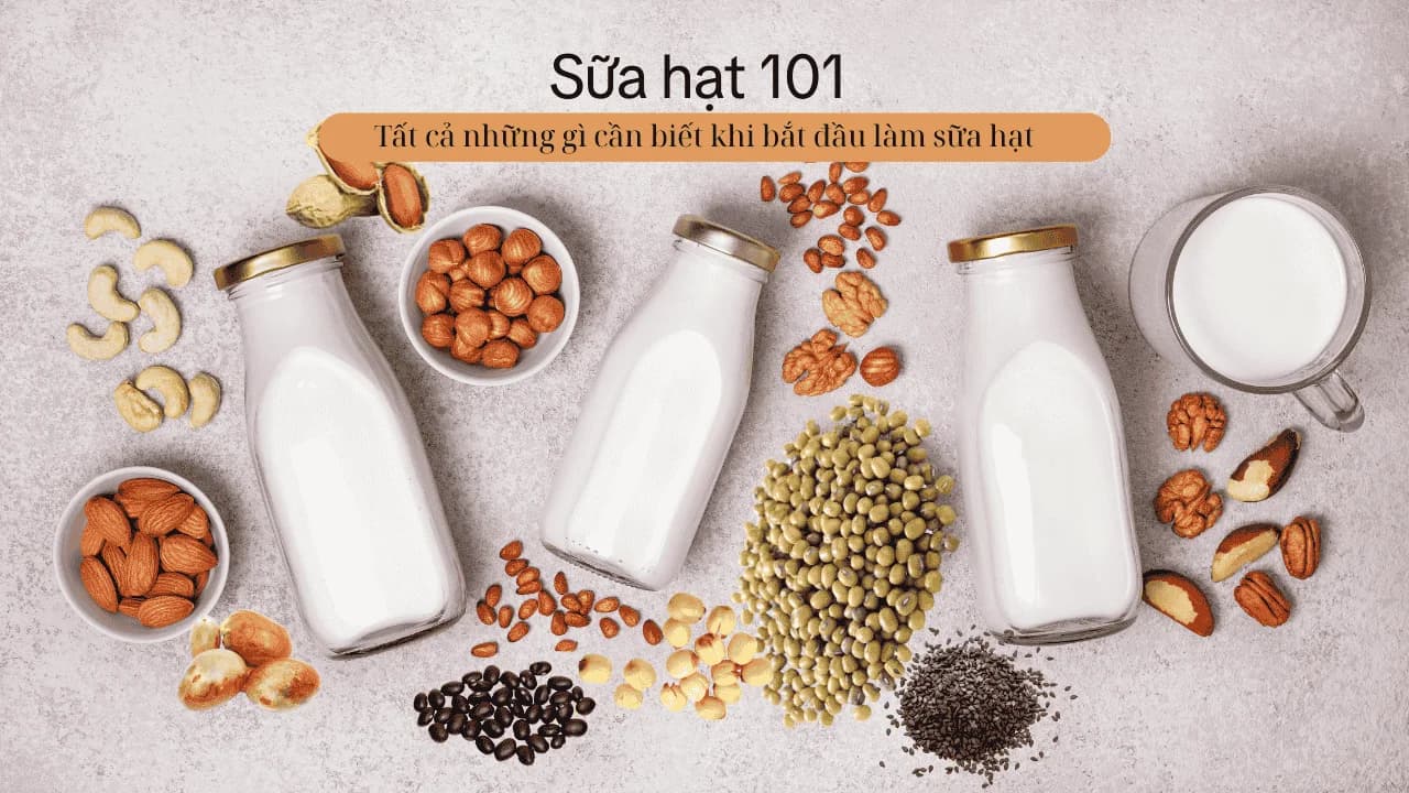 Cách làm sữa hạt 101 – Tổng hợp tất cả bí quyết khi bắt đầu làm sữa hạt