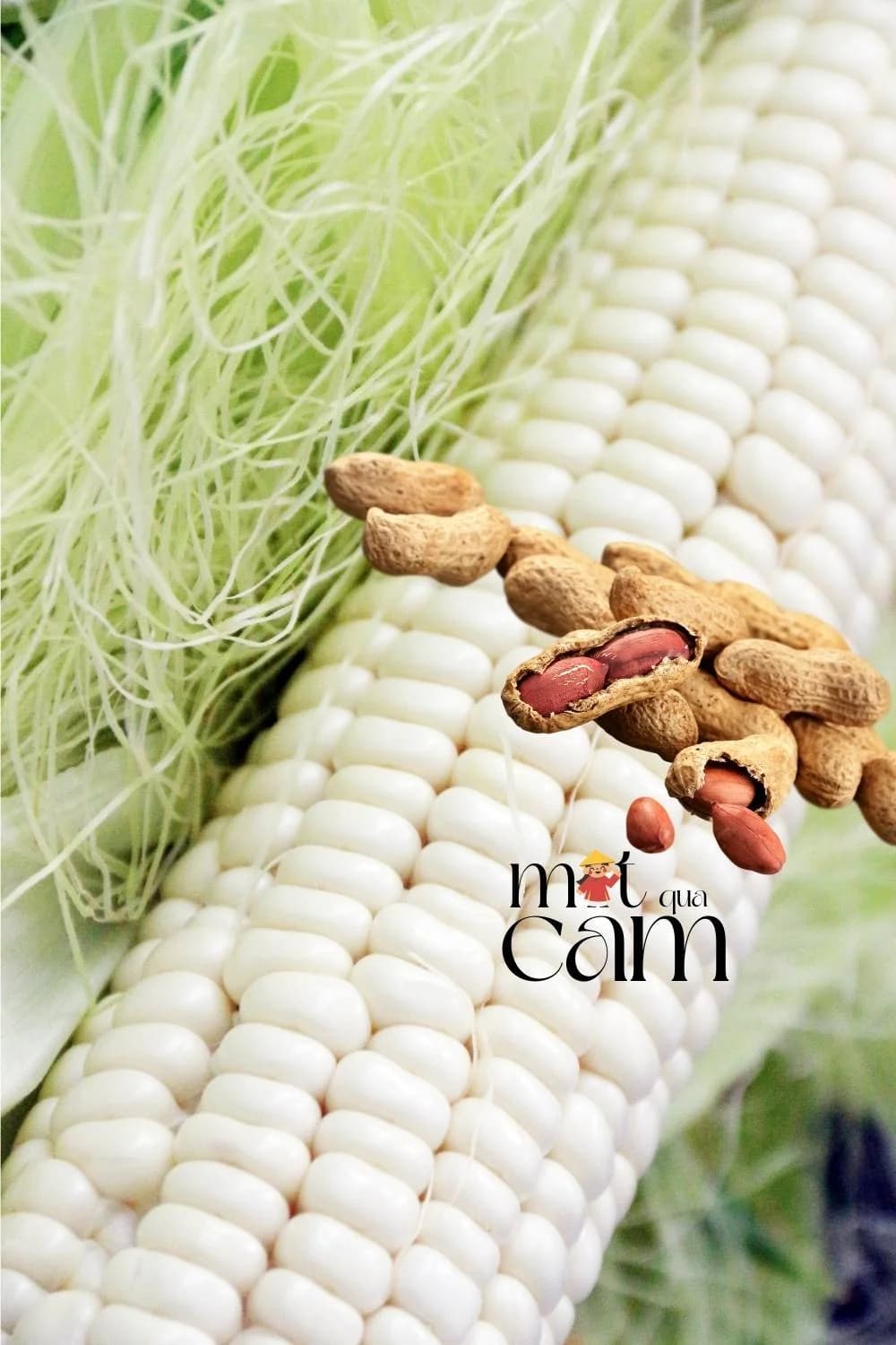 Cách làm sữa ngô đậu phộng