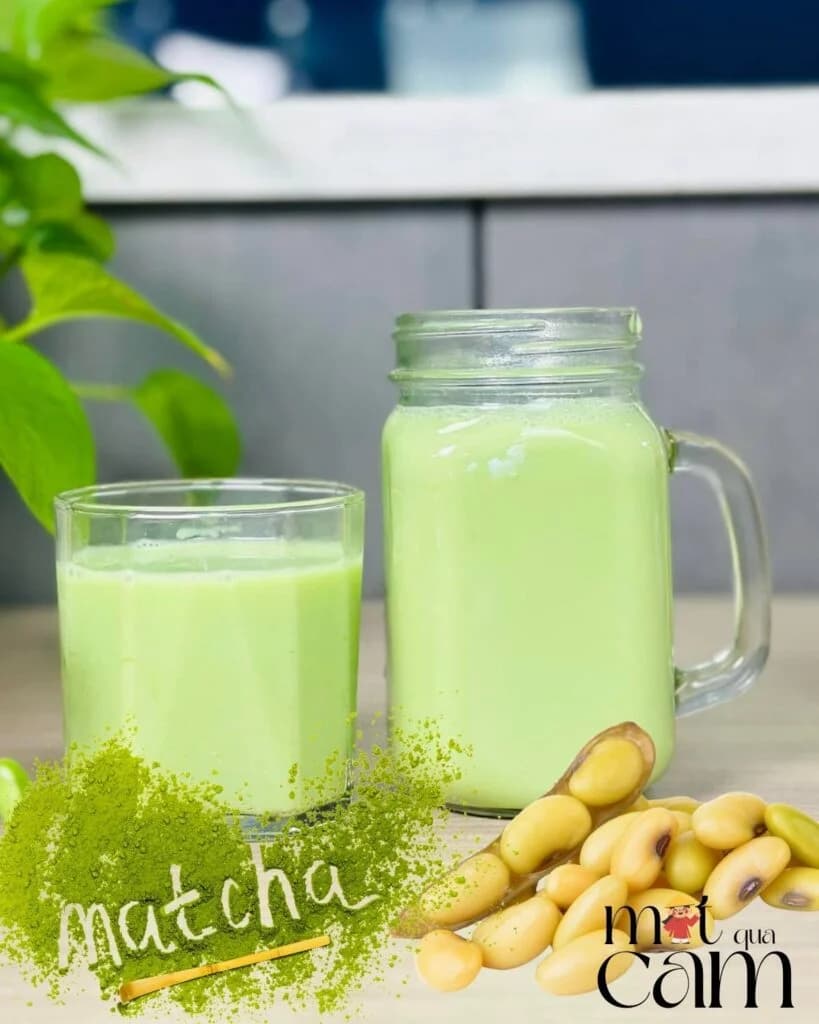 sau dau nanh matcha motquacam