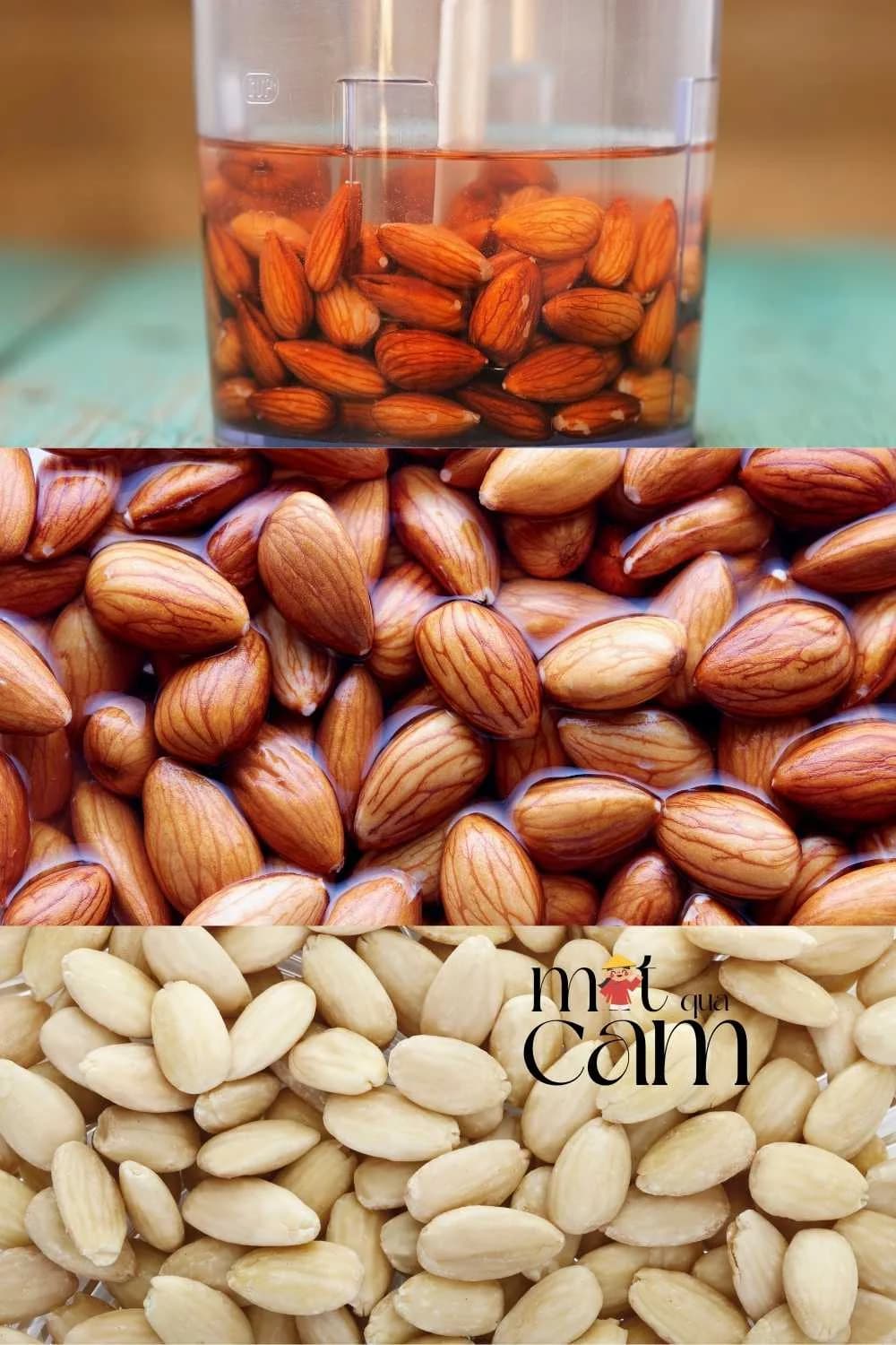 Ba bước xử lý hạnh nhân: ngâm trong nước, hạnh nhân đã ngâm còn vỏ lụa, và hạnh nhân đã bóc vỏ trắng