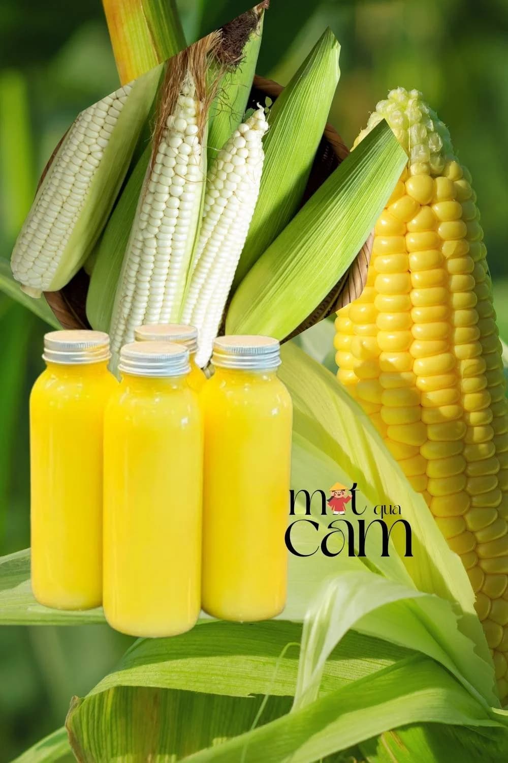 7 cách làm sữa ngô tại nhà ai cũng mê