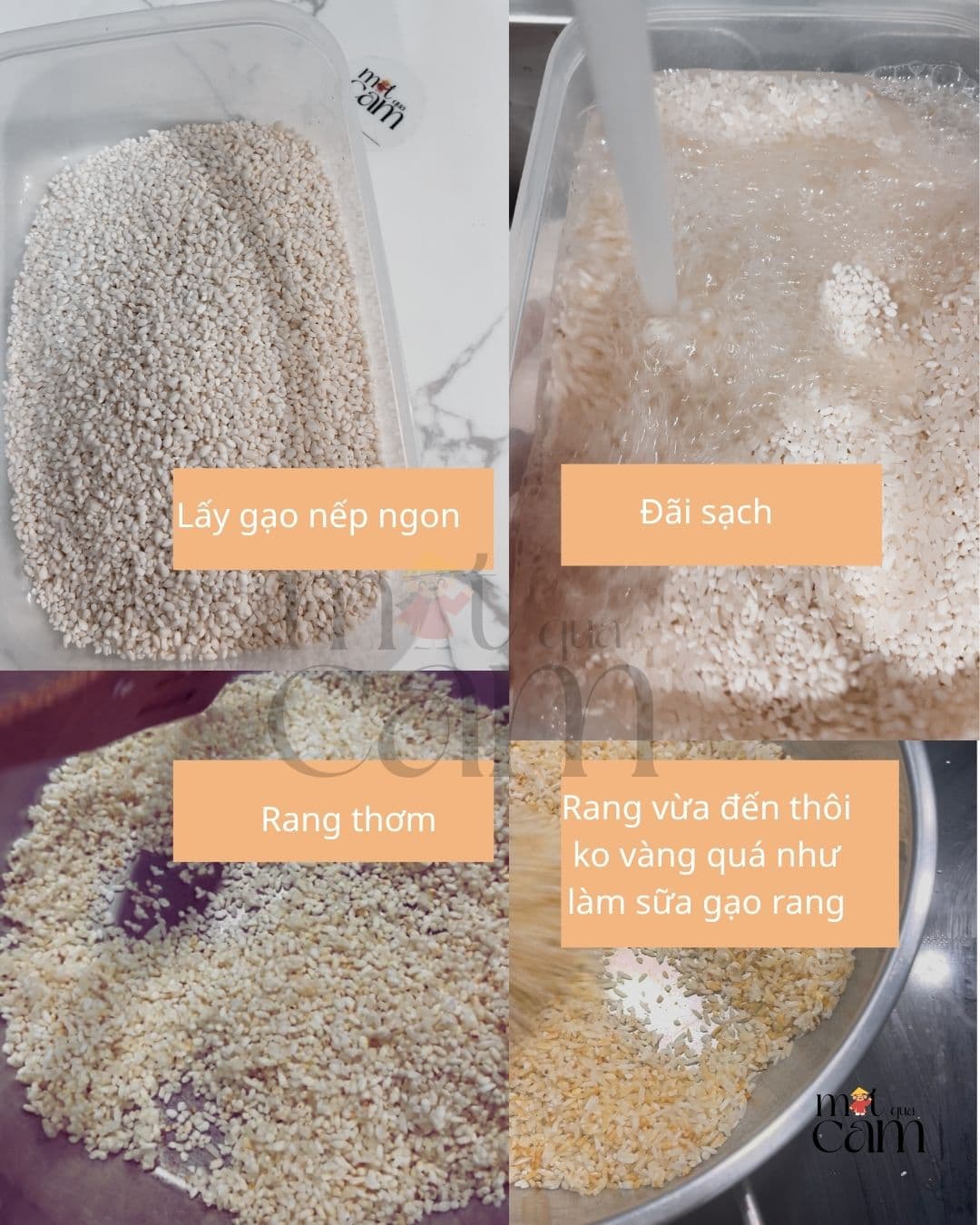 Gạo nếp món ăn thân thuộc của người việt 