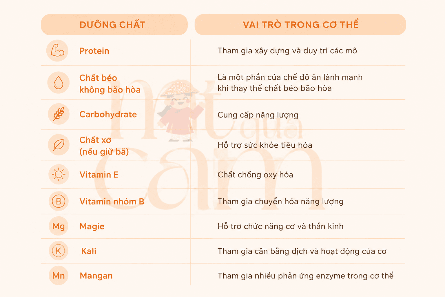 Dưỡng chất và tác dụng của nó với cơ thể