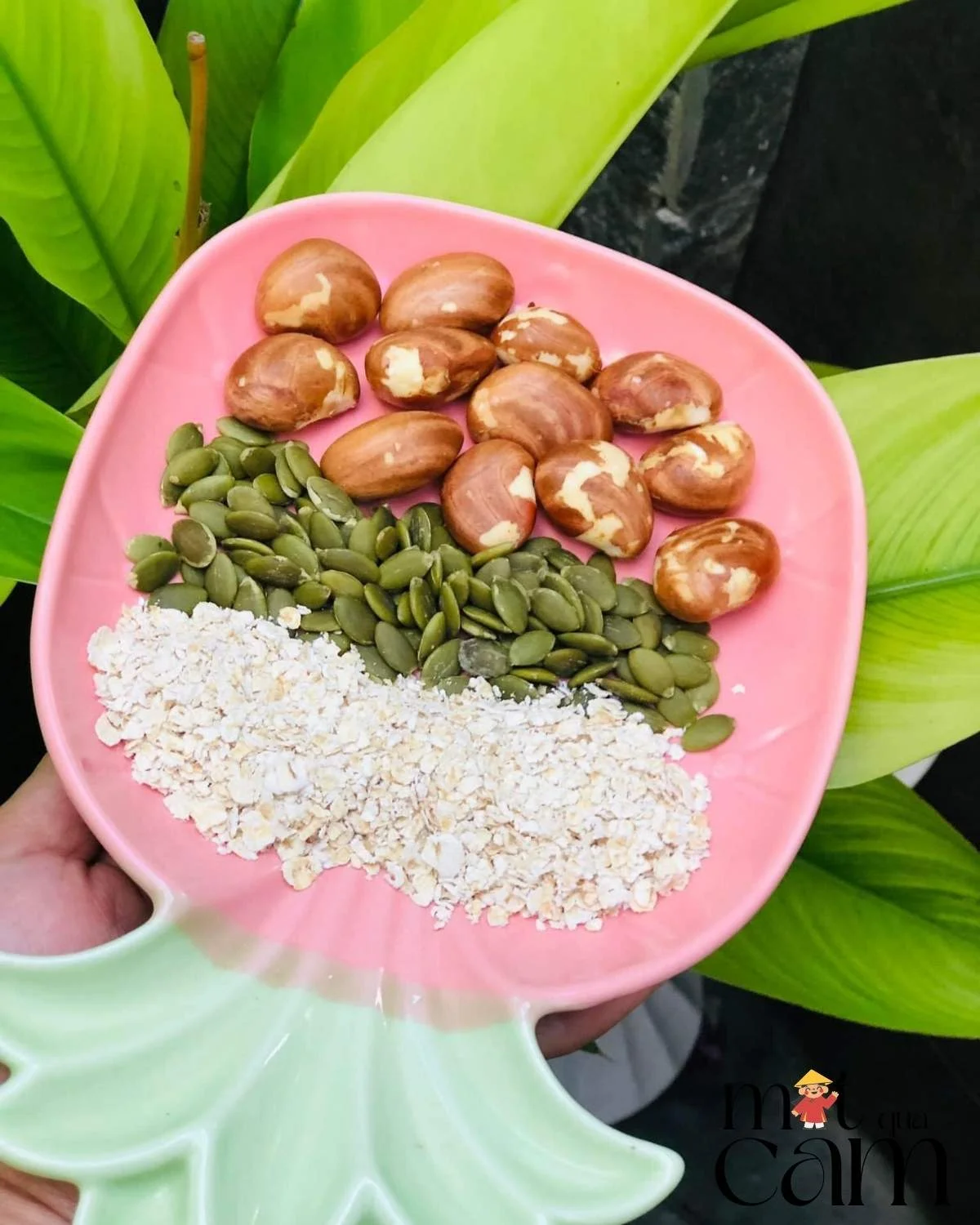 Sữa hạt mít hạt bí yến mạch