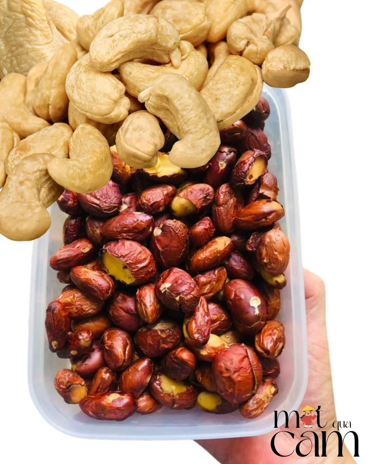 Làm sữa hạt mít hạt điều tại nhà