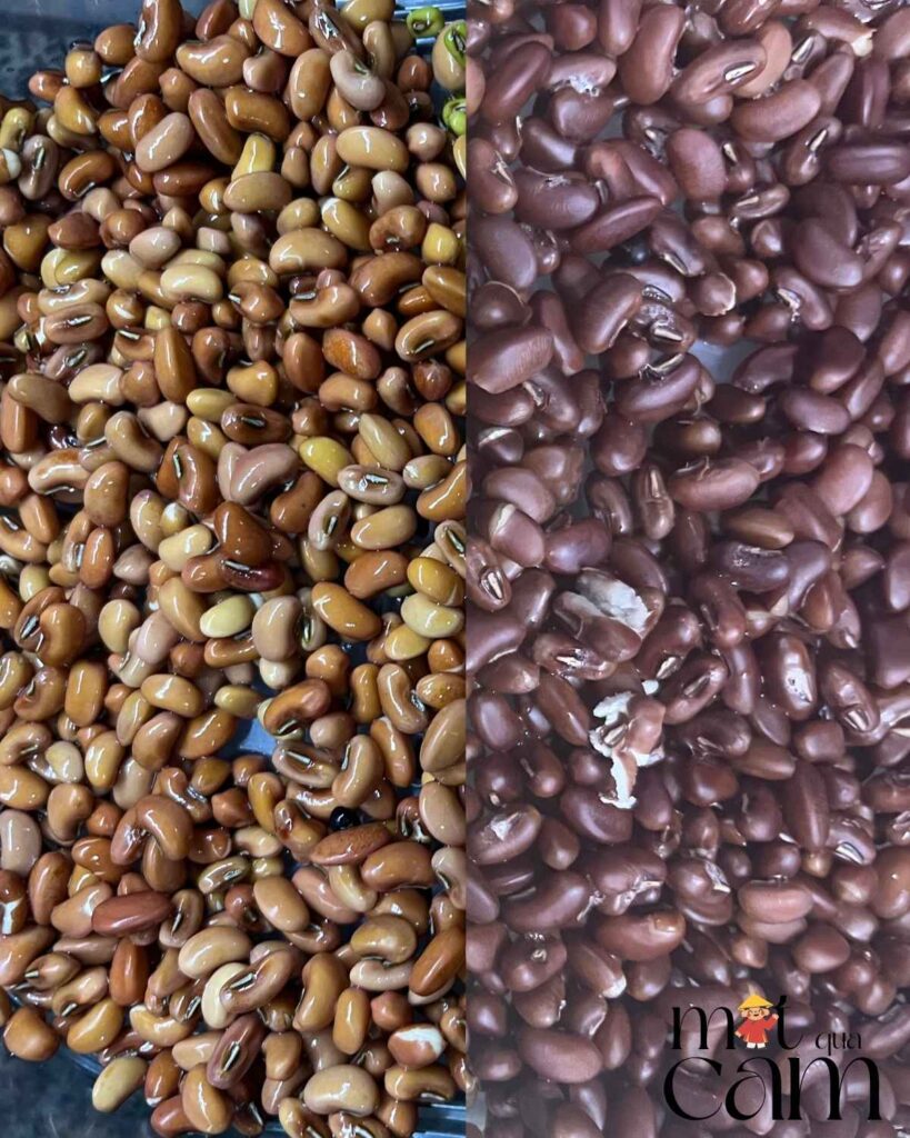 cach lam sua dau do mot qua cam2