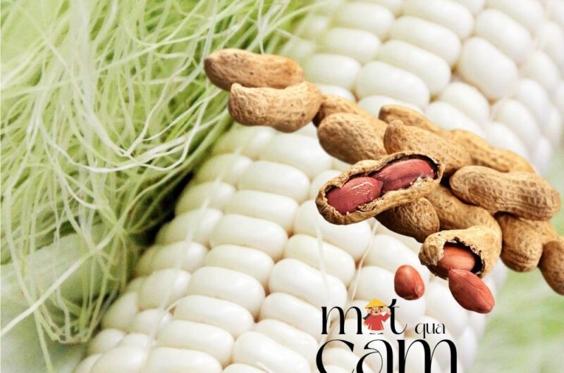 Công thức làm sữa ngô đậu phộng (lạc rang)
