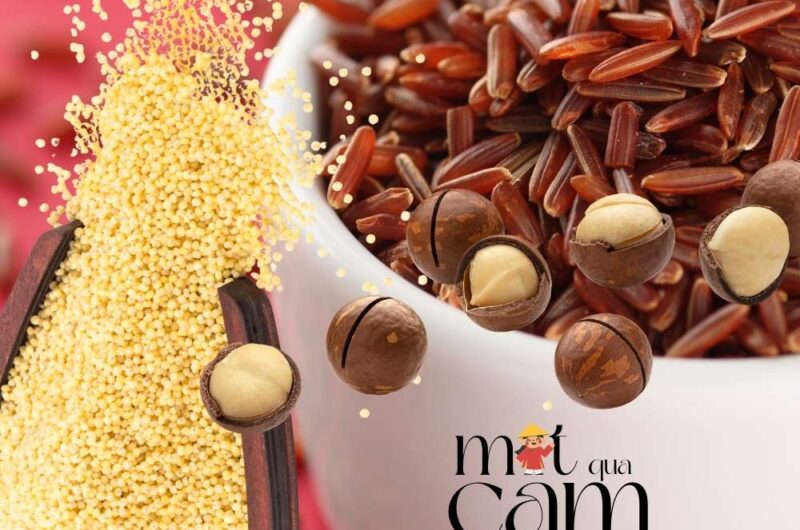 Sữa gạo lứt hạt kê macca