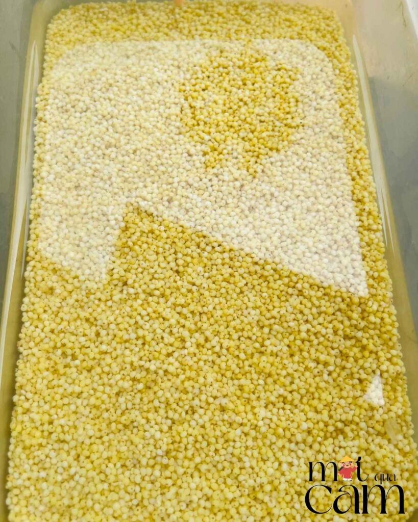 ảnh cam (1200 x 1500 px)