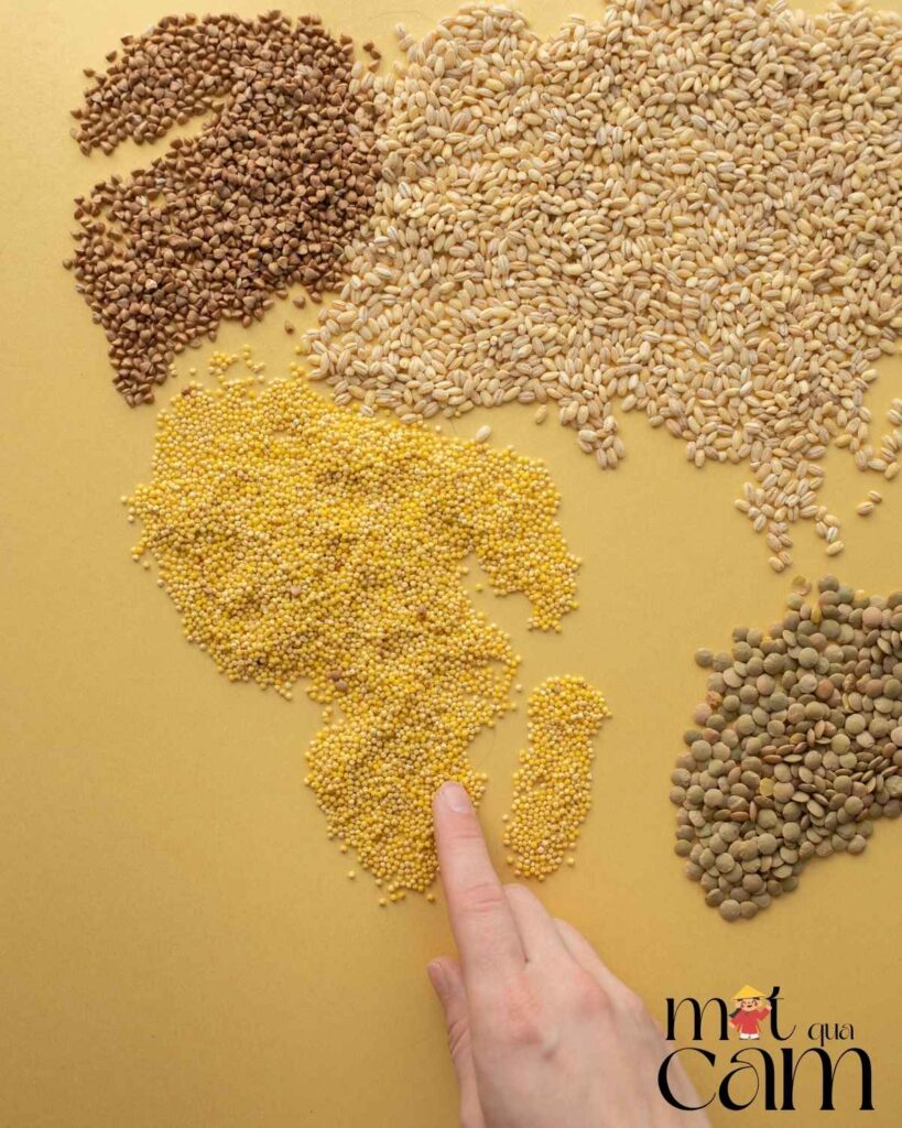 cach lam sua hat ke motquacam3