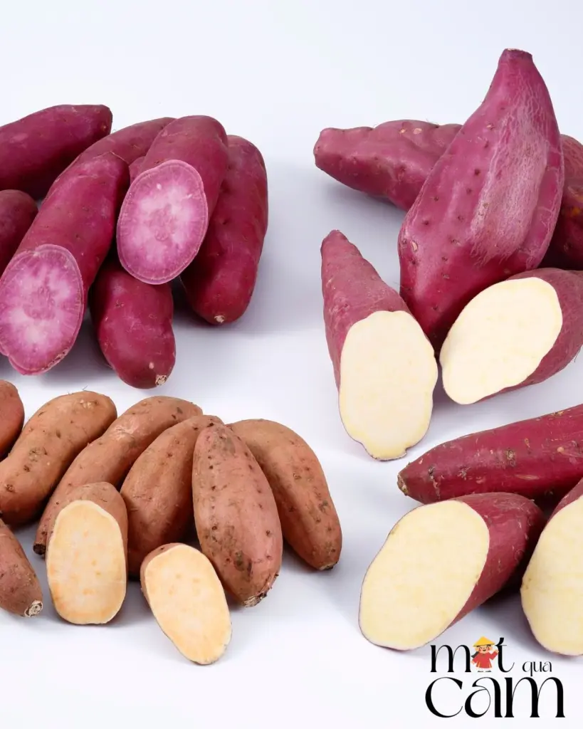 cac loai khaoi lang lam sua motquacam02