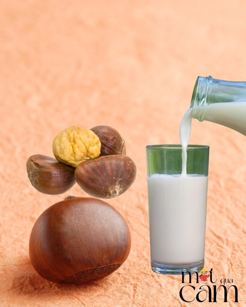 5 cách làm sữa hạt dẻ a-z: thơm ngon đậm vị tại nhà