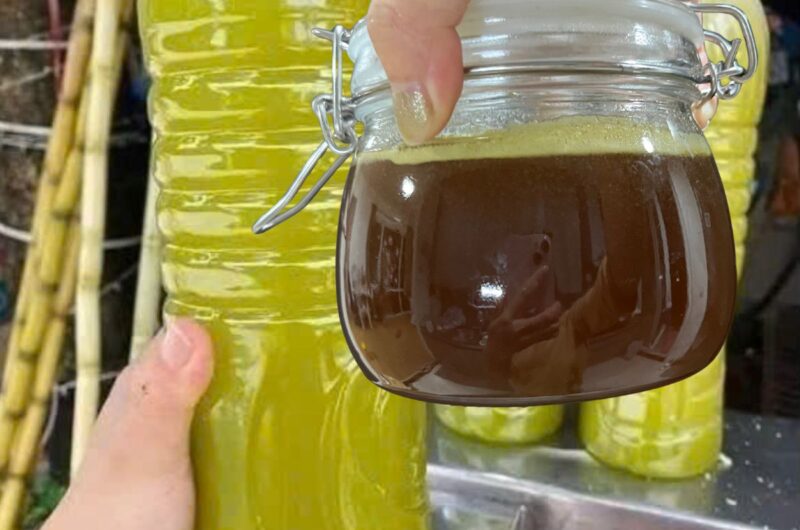 Công thức tự nấu mật mía tại nhà