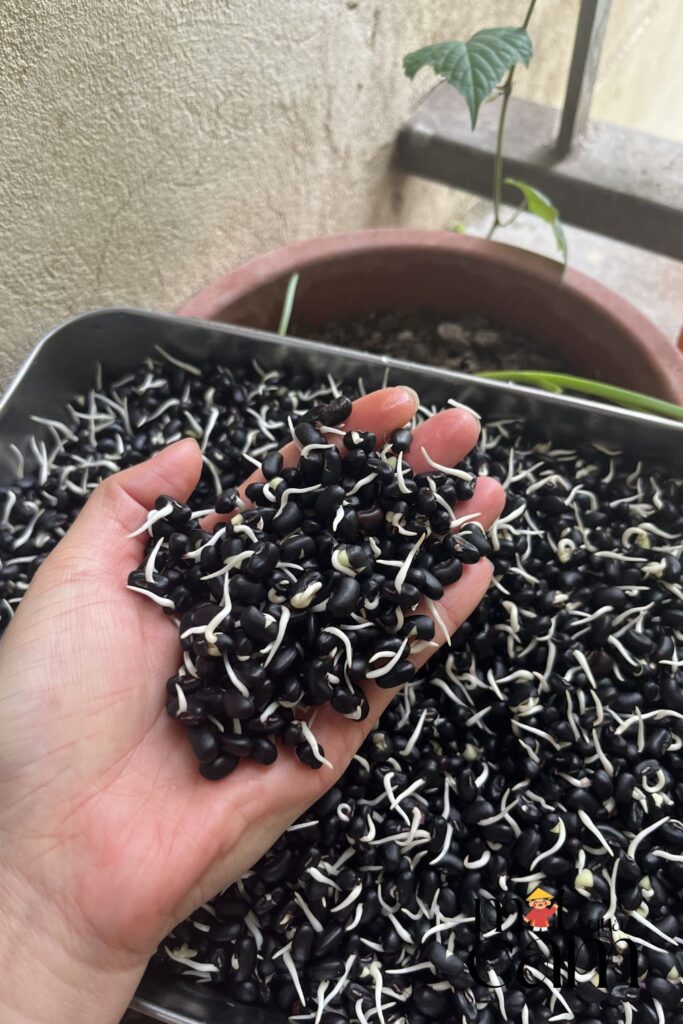 Cach lam dau den nay mam motquacam2