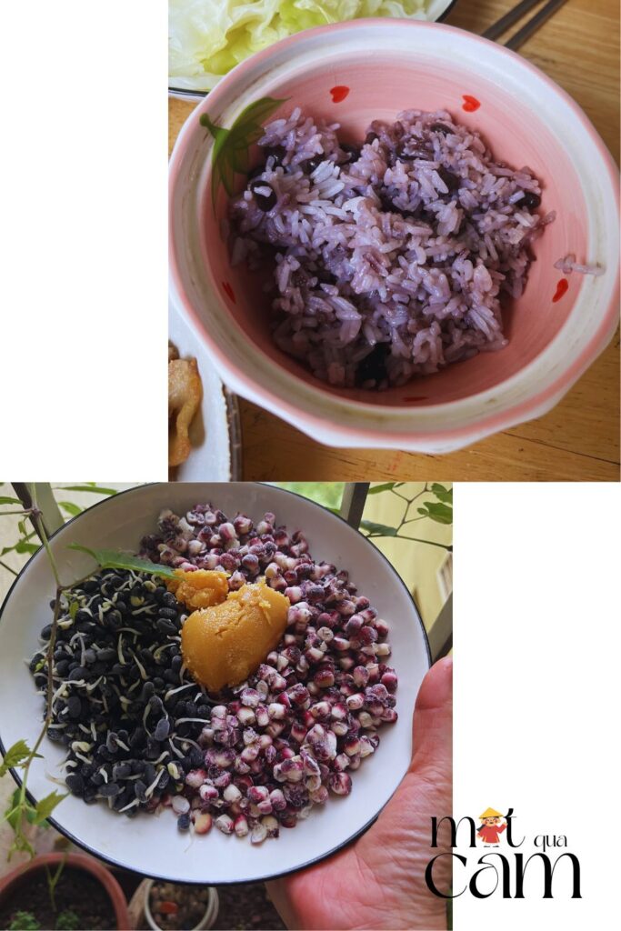 Conthuc u mam cho dau motquacam